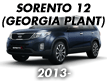 SORENTO 12 (GEORGIA PLANT-CAN) (2013-2015)