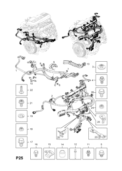 30.ENGINE AND FUEL INJECTION WIRING HARNESS FITTINGS